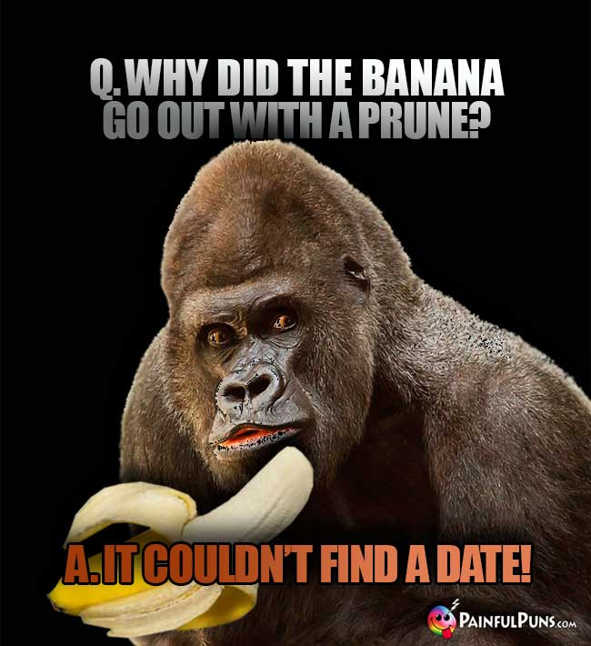 Q. Why did the banana go out with a prune? A. It couldn't find a date!