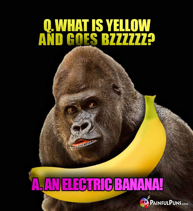 Gorilla asks: What is yellow and goes Bzzzzzz? A. An electric banana!