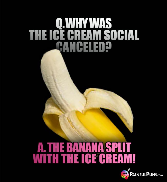 Q. Why was the ice cream social canceled? A. The banan split with the cream!