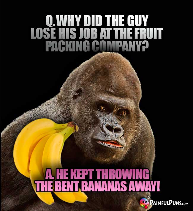 Q. Why did the guy lose his job at the fruit packing company? A. He kept throwing the bent bananas away!