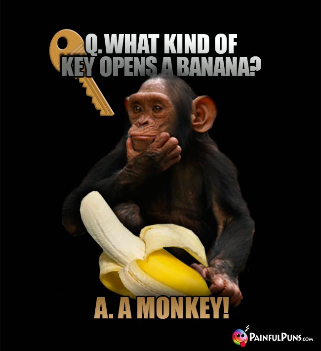 Chimp asks: What kind of key opens a banana? A. A monkey!