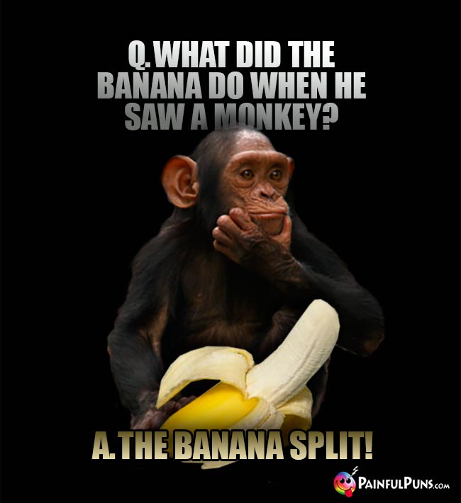 Q. What did the banana do when he saw a monkey? A. The banana split!