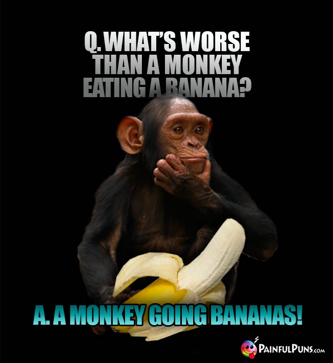 Q. What's worse than a monkey eating a banana? A. A monkey going bananas!