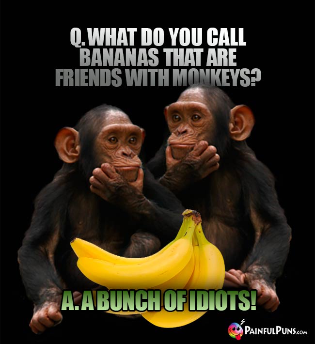 Chimps ask: What do you call bananas that are friends with monkeys? A. A bunch of idiots!
