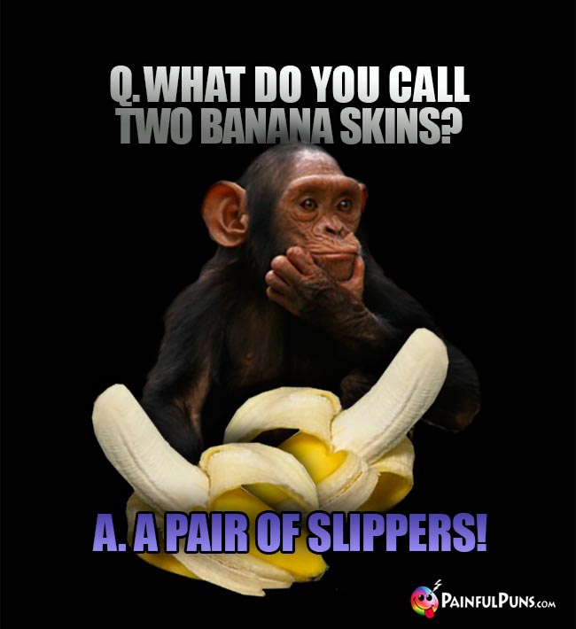 Chimp asks: What do you call two banana skins? A. A pair of slippers!