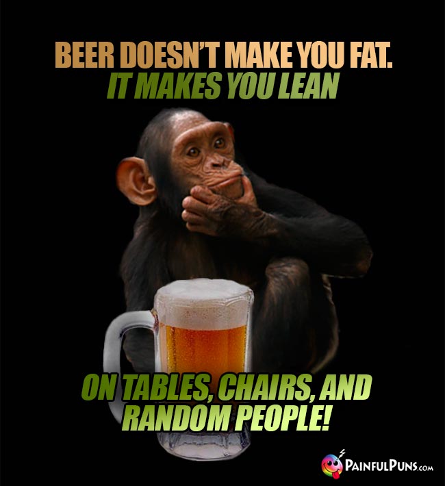 Chimp remarks: Beer doesn't make you fat. It makes you lean...on tables, chairs, and random people!