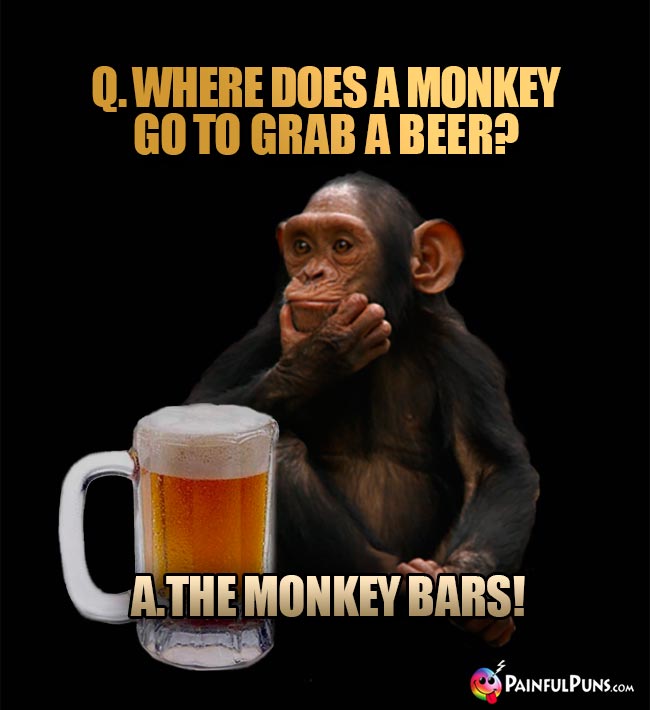 Chimp asks: Where does a monkey go to grab a beer? A. The monkey bars!