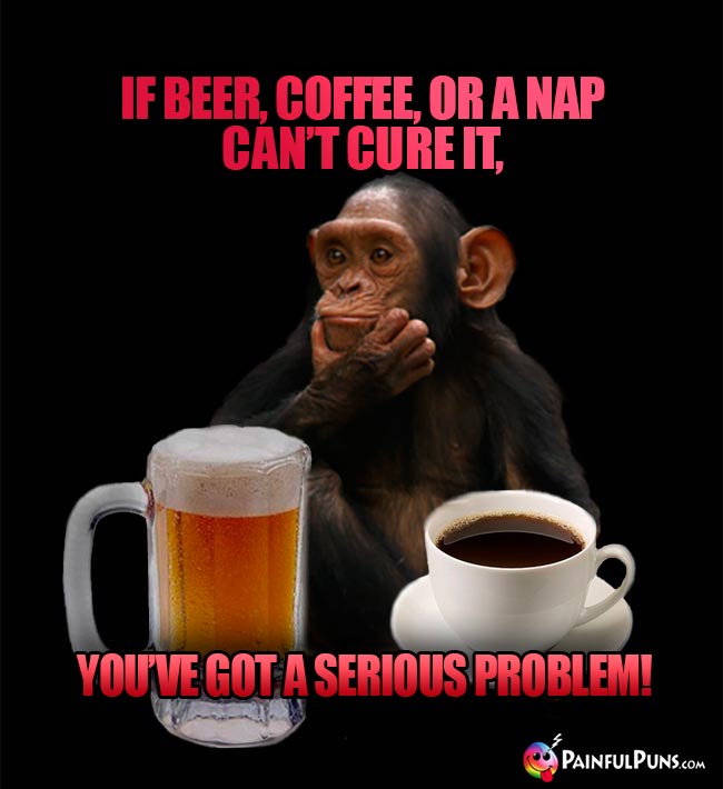 Chimp remarks: If beer, coffee, or a nap can't cure it, you've got a serious problem!