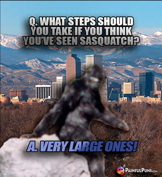 Denver asks: What steps should you take if you think you've seen sasquatch? A. Very large ones!