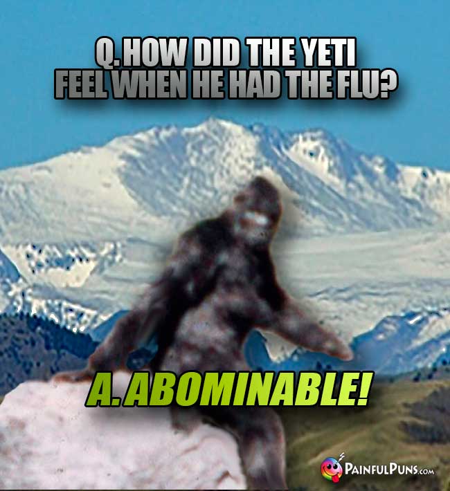 Q. How did the yeti feel when he had the flu? A. Abominable!