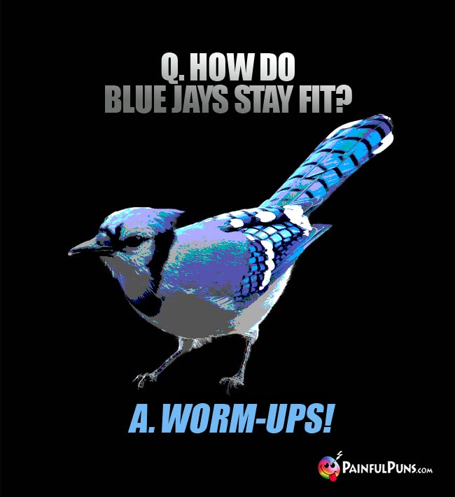 Q. How do blue jays stay fit? a. Worm-Ups!