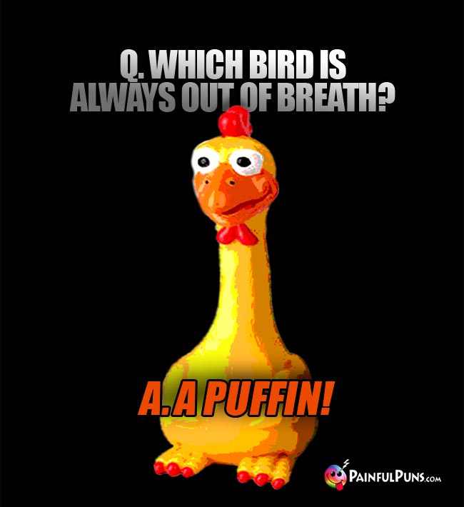 Q Which bird is always out of breath? A. A Puffin!