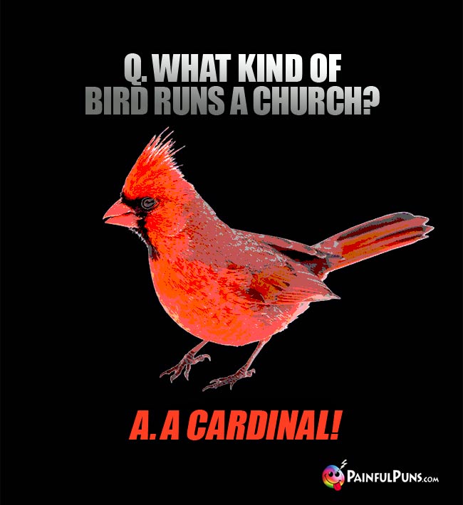 Q. What kind of bird runs a church? A. A Cardinal!