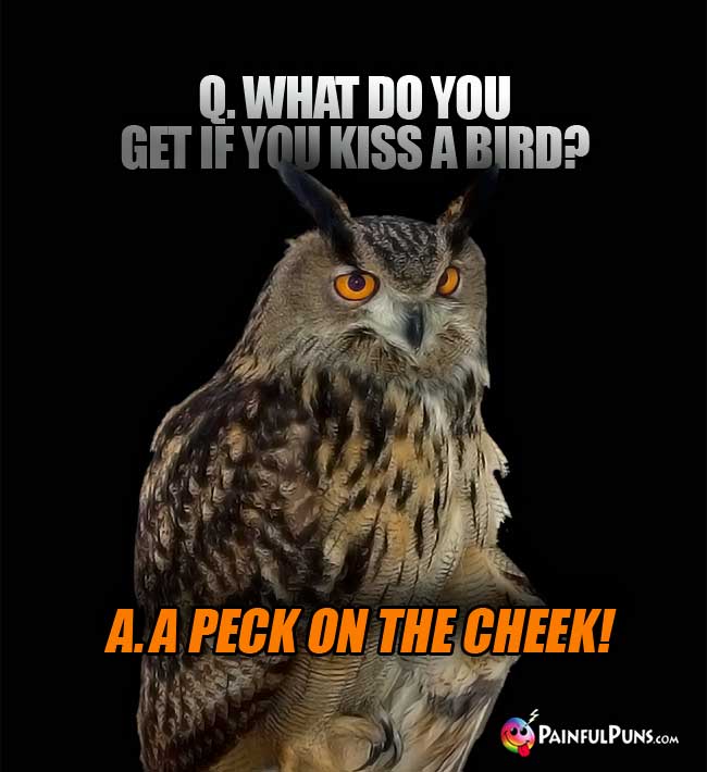 q. What do you get if you kiss a bird? A. Apeck on the cheek!