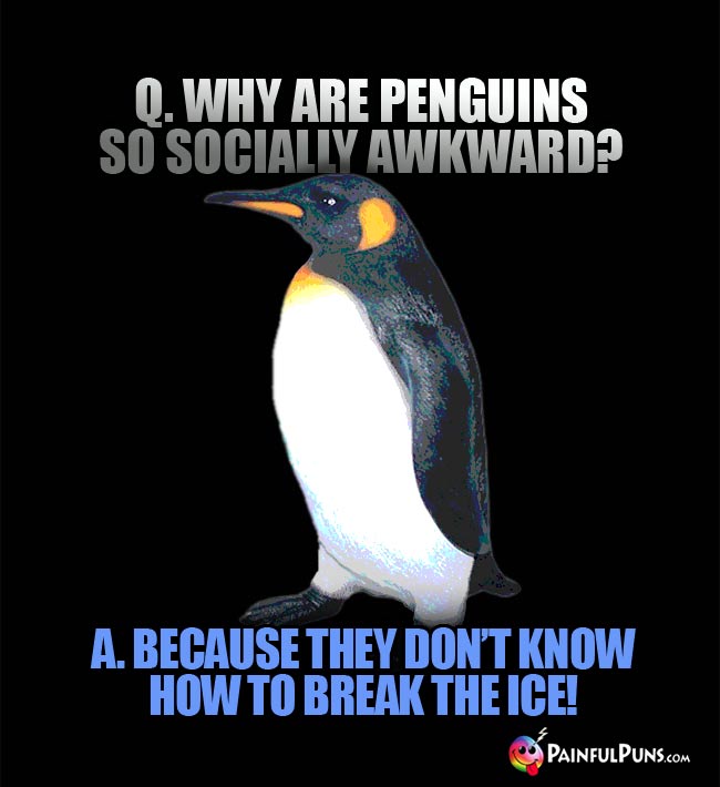 Q. Why are penguins so socially awkward? A. beause they don't know how to break the ice!