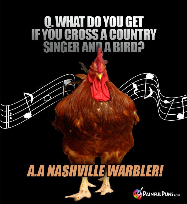 Q. What do you get if you cross a country singer and a bird? a. a Nashville Warbler!