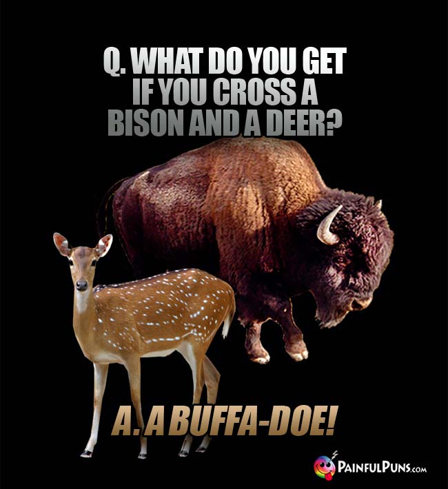 Q. What do you get if you cross a bison and a deer? A. A Buffa-Doe!
