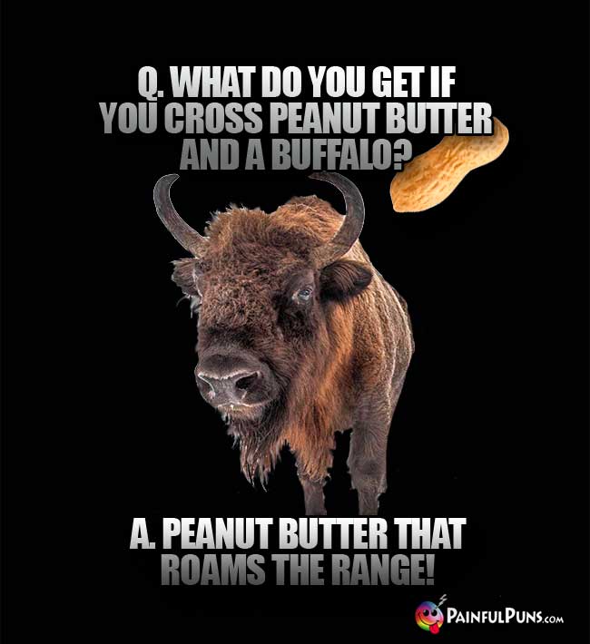 Q. What do you get if you cross peanut butter and a buffalo? A. Peanut butter that roams the range!
