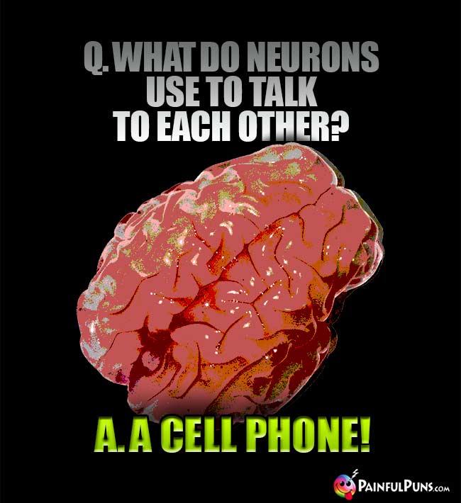 Q. What do neurons use to talk to each other? A. A cell phone!