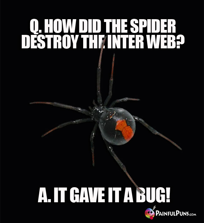 Q. How did the spider destroy the Inter Web? A. It gave it a bug!