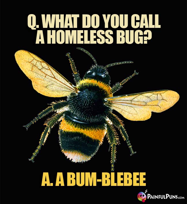 Q. What do you call a homeless bug? A. A Bum-blebee!