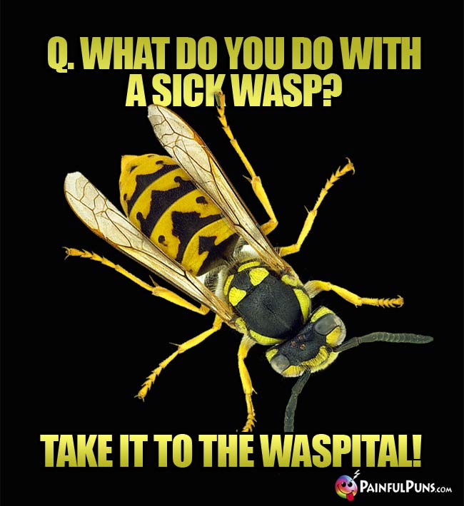 Bee Wasp Memes Never Lose Your Honey Meme By Abrox Memedroid Bee Wasp Memes Never Lose Your Honey Meme By Abrox Memedroid