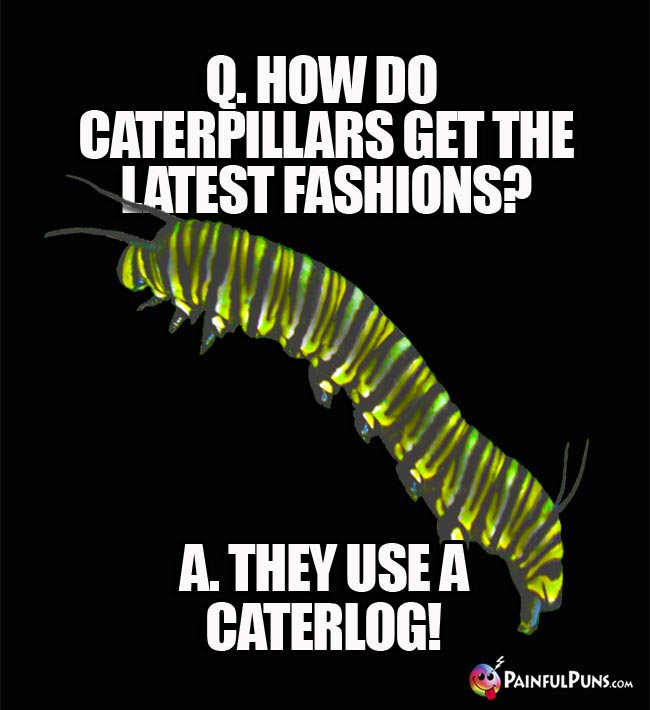 Q. How do caterpillars get the latest fashions? A. They use a caterlog!
