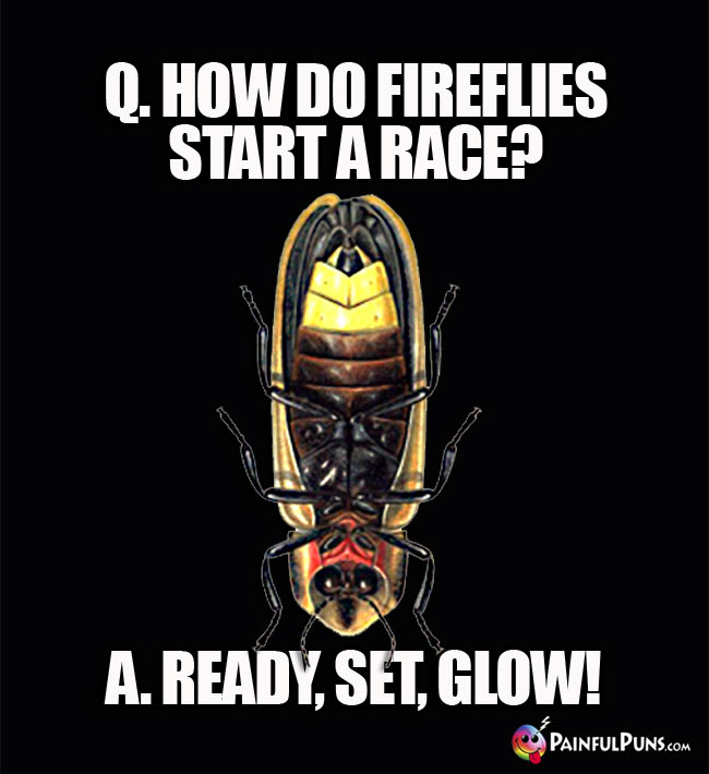 Q. How do fireflies start a race? A. Redy, set, glow!