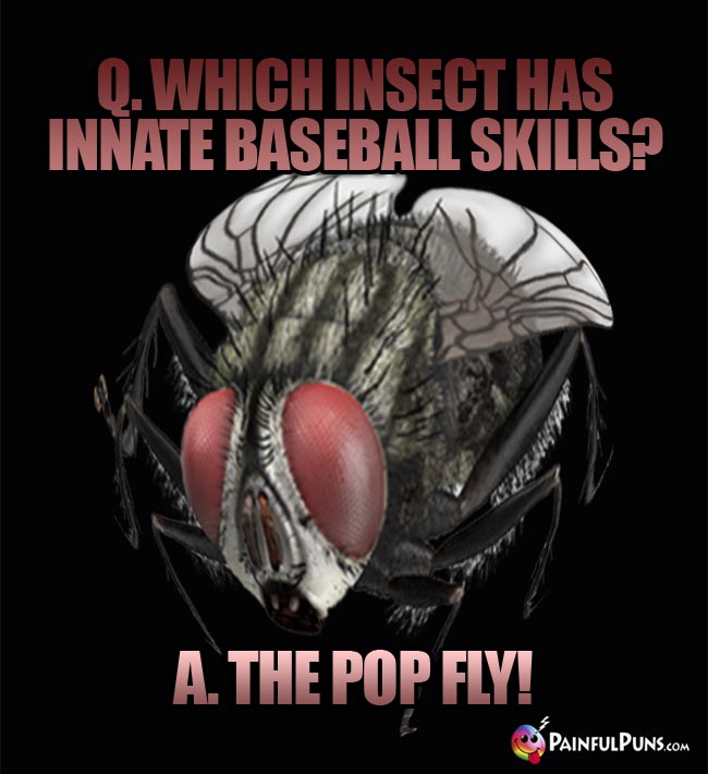 Q. which insect has innate baseball skills? A. The Pop Fly!