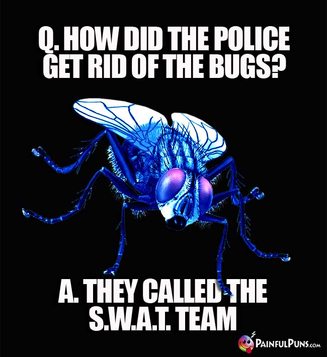 Q. How did the police get rid of the bugs? A. they called the S.W.A.T. team.