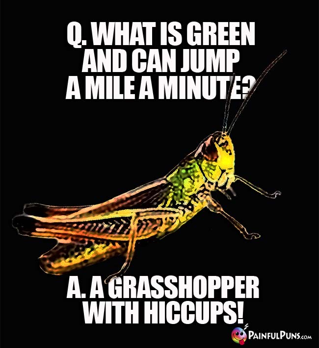 Q. What is green and can jump a mile a minute? A. A grasshopper with hiccups!