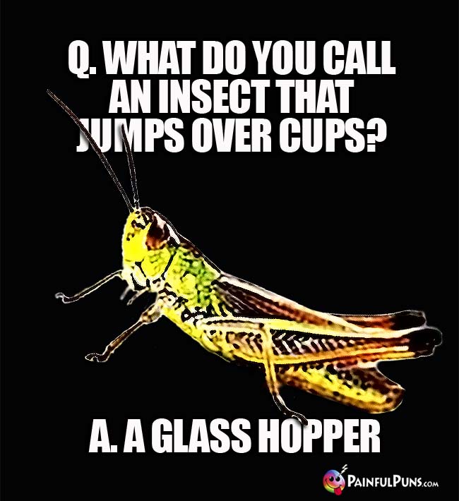 Q. What do you call an insect that jumps over cups? A. A glass hopper.