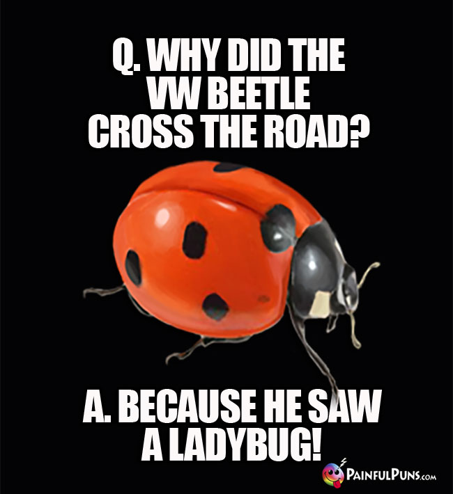 Q. why did the VW Beetle cross the road? A. Because he saw a ladybug!