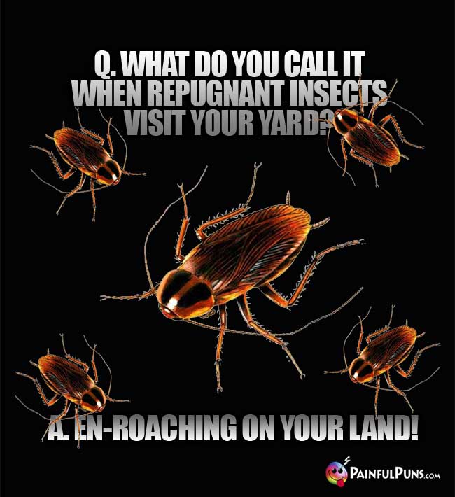 Q. What do you call it when repugnant insects visit your yard? A. En-roaching on your lawd!