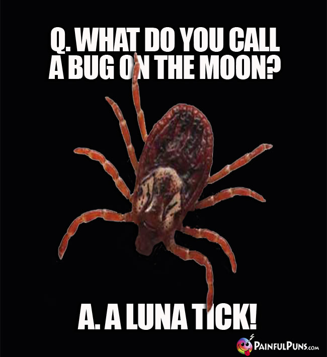 Q. What do you call a bug on the moon? A. A luna tick!