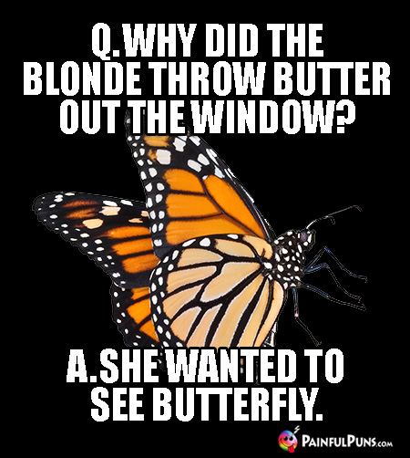 Q. Why did the blonde throw butter out the window? A. She wanted to see butterfly.