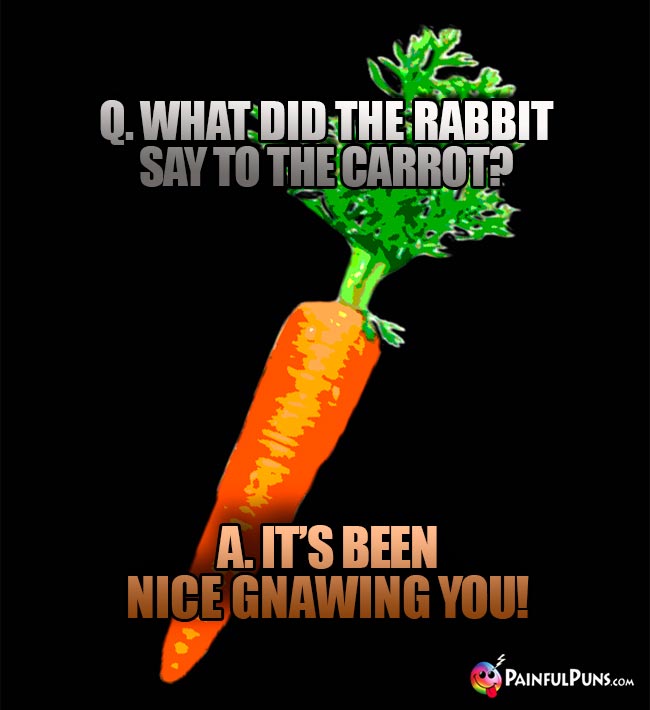 Q. What did the rabbit say to the carrot? A. It's been nice gnawing you!