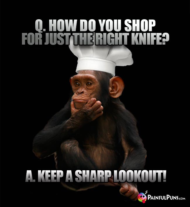 Chimp Chef Asks: How do you shop for just the right knife? A. Keep a sharp lookout!