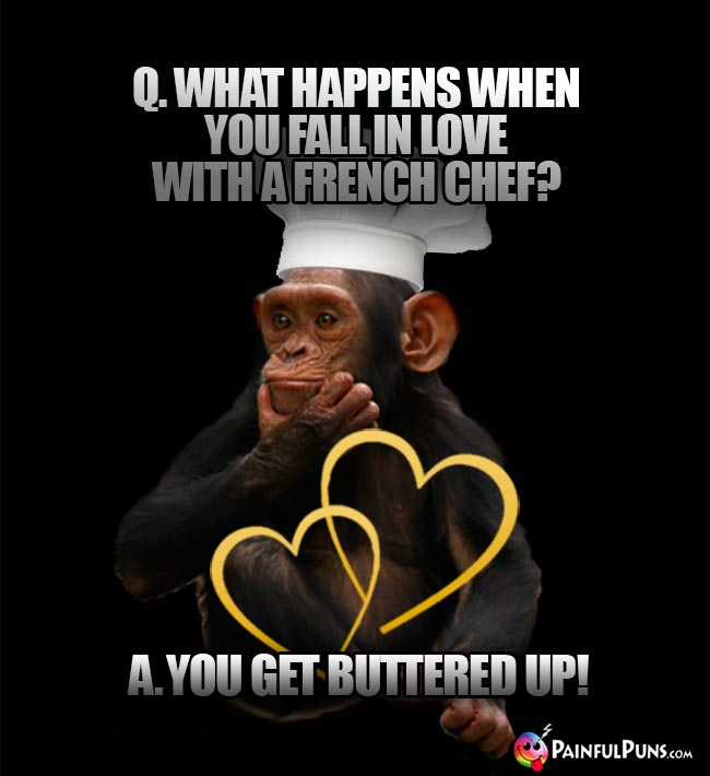 Chimp Chef Asks: What happens when you fall in love with a French chef? A. you get buttered up!