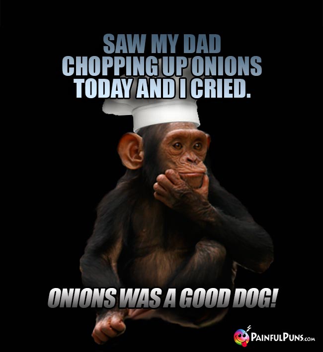 Chimp Chef Says: Saw my dad chopping up Onions today and I cried. Onions was a good dog!