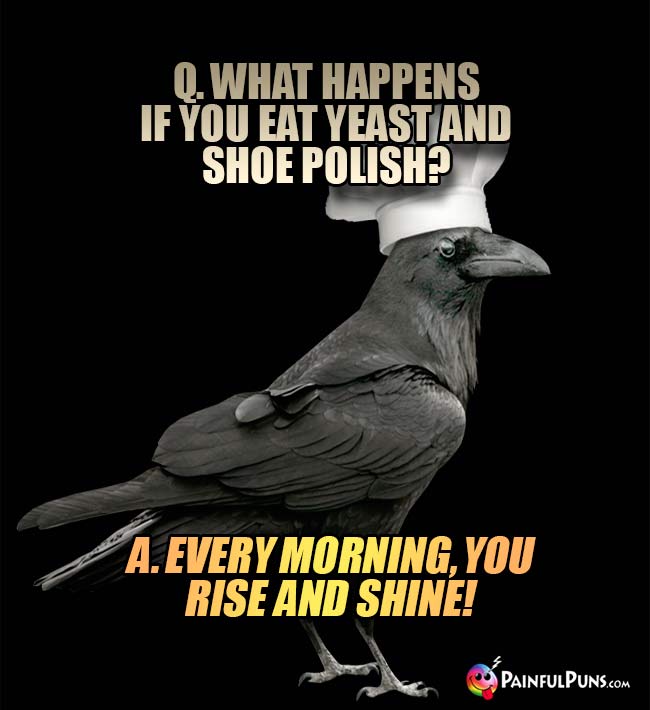 Crow Chef Asks. What happens if you eat yeast and shoe polish? A. Every morning, you rise and shine!