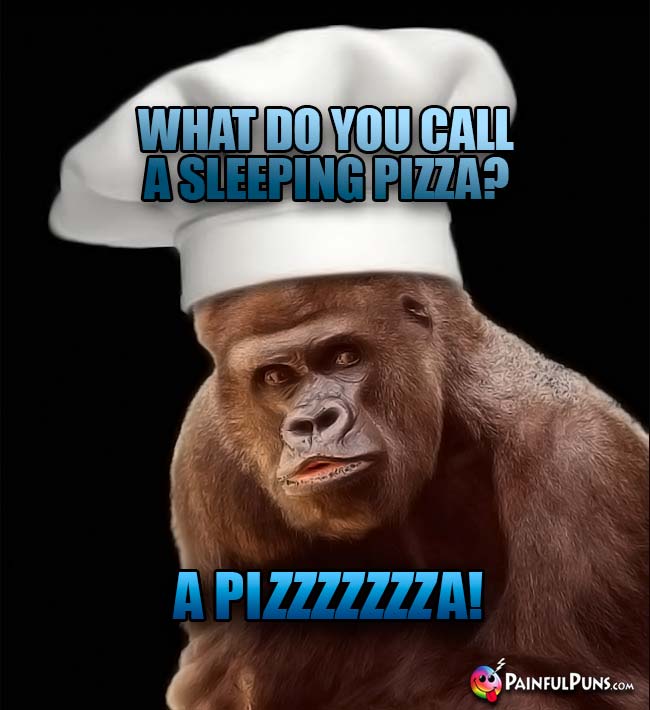 Ape Chef Asks: What do you call a sleeping pizza? A Pizzzzzza!