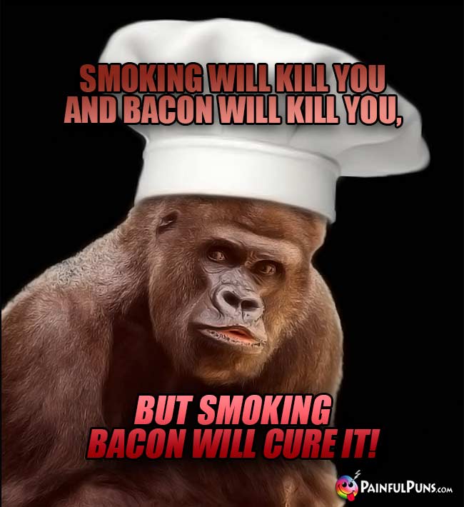 Ape Chef Says: Smoking will kill you and bacon will kill you, but smoking bacon will cure it!