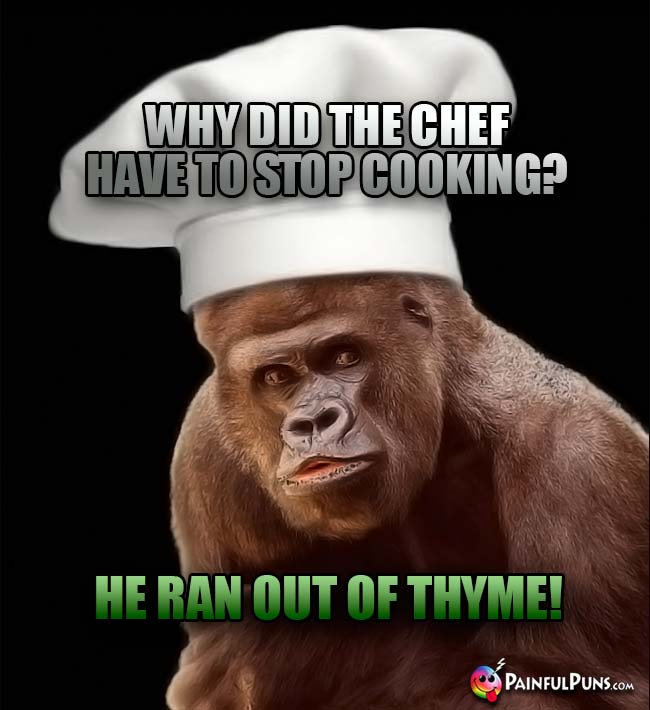 Gorilla Chef Asks: Why did the chef have to stop cooking? He ran out of thyme!