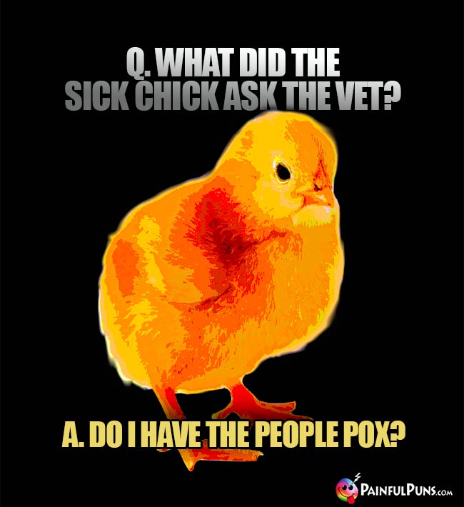 Q. What did the sick chick ask the vet? A. Do I have the people pox?