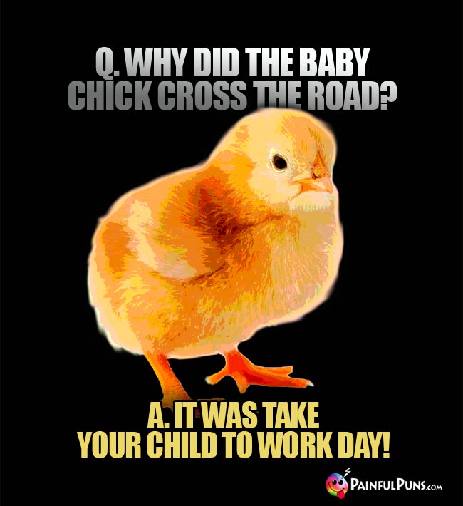 Q. Why did the baby chick cross the road? A. It was take your child to work day!