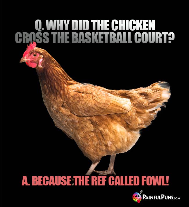 Why Did The Chicken Cross The Road Again Jokes PainfulPuns