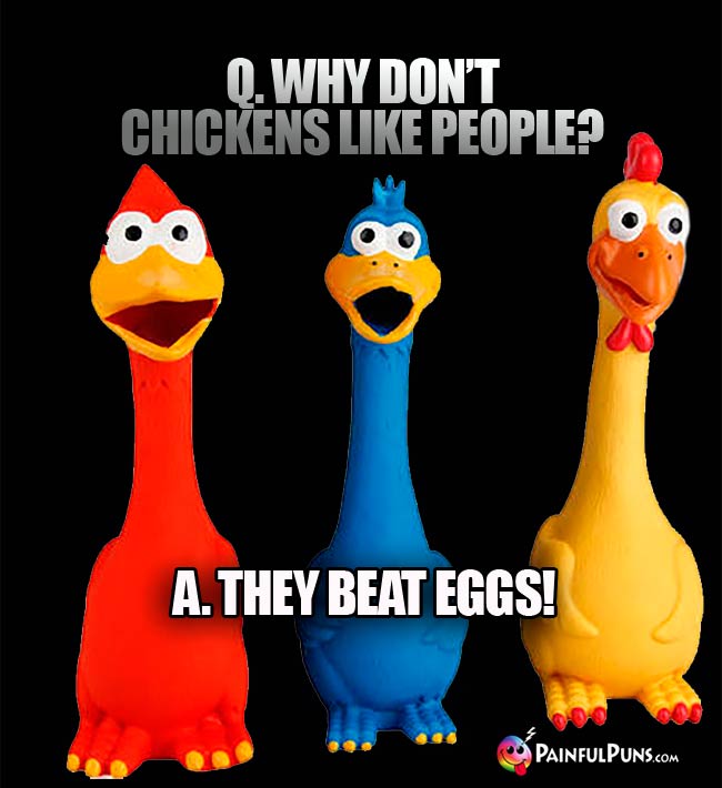 Q. why don't chickens like peo;le? A. They beat eggs!