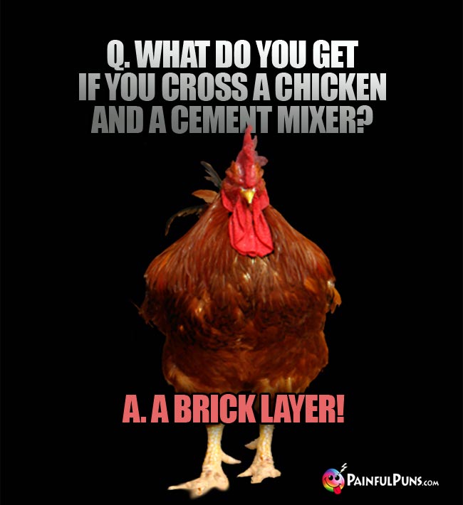 Q. What do you get if you cross a chicken and a cement mixer? A. A brick layer!