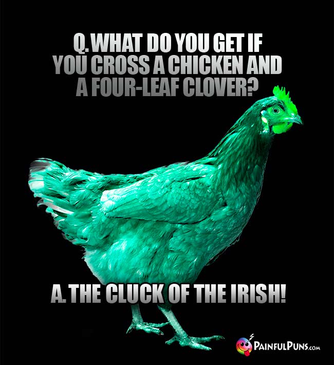 Q. What do you get if you cross a chicken and a four-leaf clover? A. The cluck of the Irish!